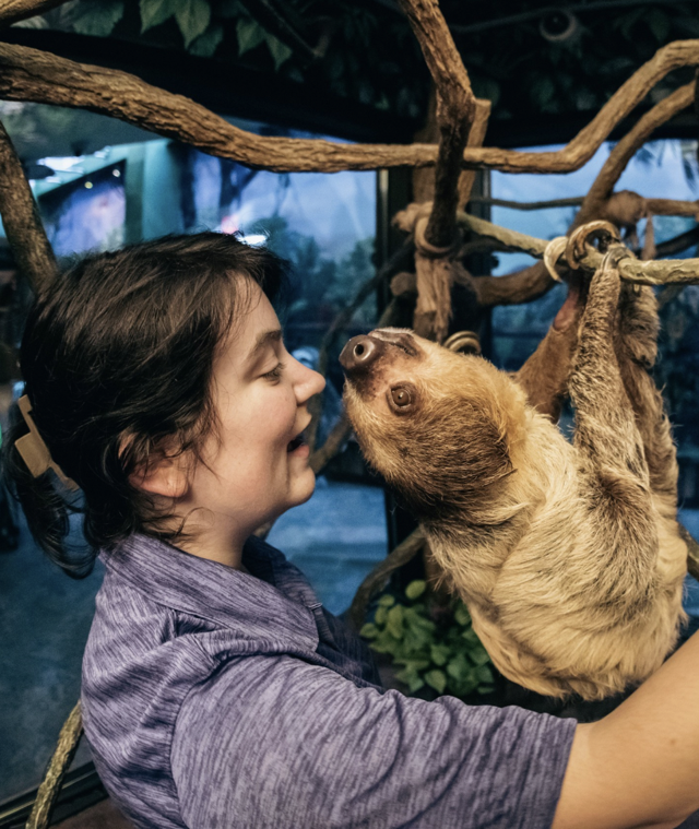 Image for The Sloth Encounter ->