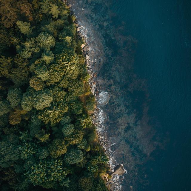 Image for Sustainability