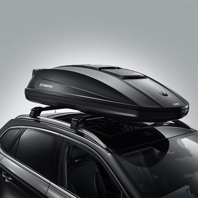 Image for Ski and Luggage Box