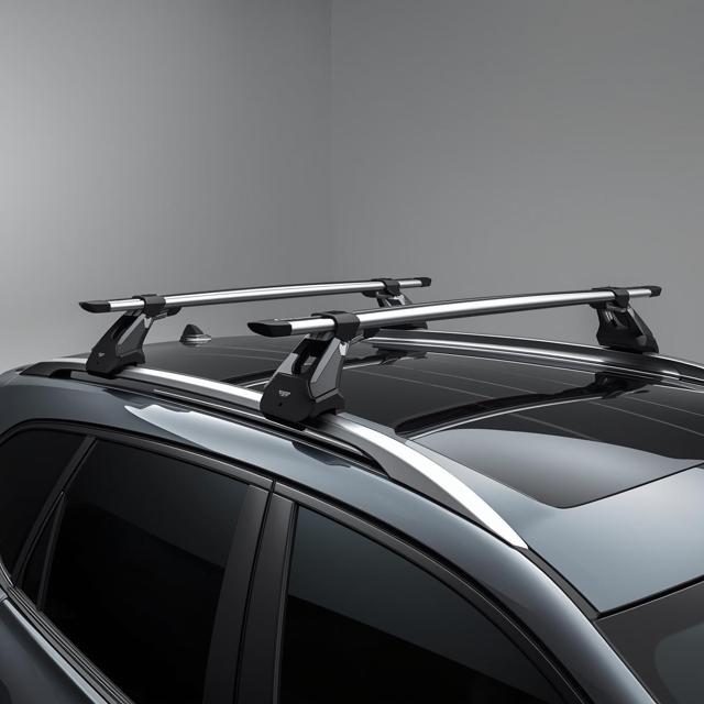 Image for Ski and Snowboard Rack
